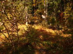 2013-10-20_Wank (039).JPG